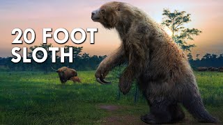 When Sloths Were 20 Feet Tall [upl. by Yanahs]