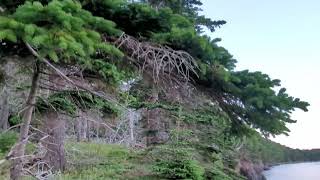 2 Random Minutes in Maskells Harbour NS Canada [upl. by Harihs950]