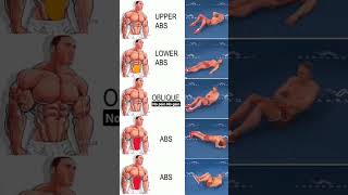 home core workout  abdominal exercises at home  sports viral [upl. by Jaquith]