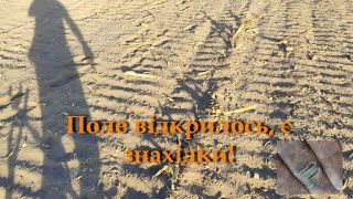 Поле відкрилосьє знахідки mp4 [upl. by Ainolopa]