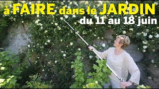 QUE FAIRE DANS VOTRE JARDIN DU 11 AU 18 JUIN  L’AGENDA PRATIQUE DU JARDINIER AVEC PATRICK ET ROLAND [upl. by Nnazus]