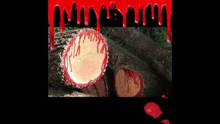 Bloodwood 🌲 tree facts viral short [upl. by Shaffer]