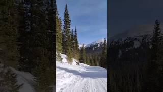 ❄️🏔️ snowmobiling snowmobile snowday jonespass backcountry colorado shorts shortsfeed trend [upl. by Rexanne589]