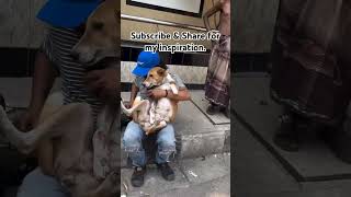 StreetDogRescue ViralVideo DogCare AnimalRescue DogMedicine PetRescue usa DogHealing [upl. by Melquist]