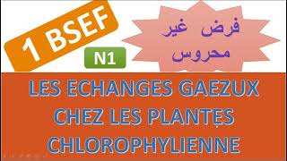 1BSE  les échanges gazeux chez les plantes chlorophylienne [upl. by Annawahs]