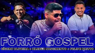 forró gospel 2023 [upl. by Nerat]