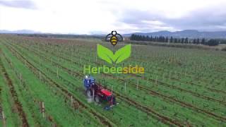 ECO FRUIT  HERBEESIDE Sistemi di Diserbo Ecologico per aree agricole [upl. by Cherian]