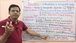 Hematinic Part01 Introduction to Anaemia  Anemia  Anaemia Treatment  खून बढाने वाले दवा [upl. by Hajan]