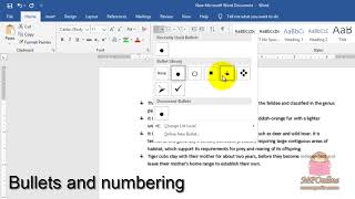 MS Word  Paragraphs Bullets and numbering Alignment Line Spacing Border Shading Indent [upl. by Flossi848]