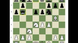 Chesscom Shankland Teaches the Najdorf 6Bg5 [upl. by Anavi991]