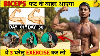 5 Min Home Biceps Workout No Gym 🏠 Home BICEPS Workout No Equipment  bicepsworkout biceps [upl. by Virgy]