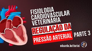 Regulação da pressão arterial aula 7  parte 3  Fisiologia cardiovascular [upl. by Cinderella]