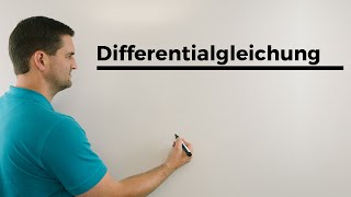 Differentialgleichung y´x2maly3 Teil 2  Differenzialgleichung lösen  Mathe by Daniel Jung [upl. by Nosauq868]