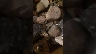 🪨🚀Unseen Wonders The Secret Life of Pebbles💵🗝️goldpannning geology shorts [upl. by Dnarb]