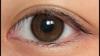 아이돌렌즈 유리알 워터브라운 보정 없는 솔직 리뷰  IDOL LENS YURIAL WATER BROWN COLOR CONTACT LENS REVIEW [upl. by Dent]