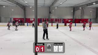 Pittsburgh Esmark Stars 2007 Live Live Stream [upl. by Quenby]