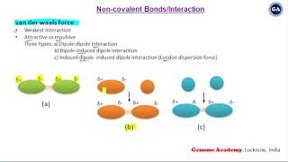 Noncovalent Bonds  Hydrogen Bonds  Ionic Bonds  Electrostatic interaction  van der waals force [upl. by Cresida]