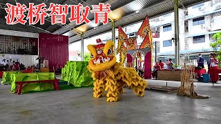 2024 第廿一屆全檳武術龍獅錦標賽 之 檳城玄岡  渡桥智取青 Traditional Lion Dance by Penang Xuan Gang [upl. by Vince]