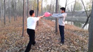 The secret of shaolin kung fu training  Martial Arts Training [upl. by Yule]