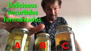 Deliciosos Encurtidos fermentados de bellotas y otros vegetales amargos [upl. by Yelra456]