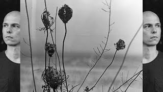 Recondite  Placid Full Album [upl. by Leiand]