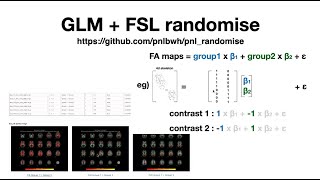 Tutorial GLM FSL Randomise and how to summarize results [upl. by Kile382]