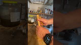 Hand carving a spalted wood spoon woodworking woodcarving spooncarving [upl. by Ayoj]