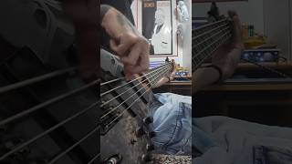 Rage Against The Machine  Bulls On Parade Bass short [upl. by Thanos]