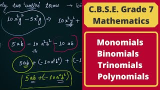 Monomials Binomials Trinomials amp Polynomials  Algebra  Grade 7 amp 8 [upl. by Taro171]