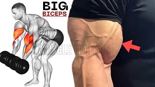 5 best biceps workout at gym [upl. by Schonfeld]