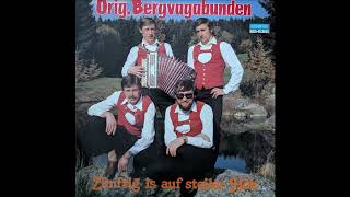 Orig Bergvagabunden  06 Harmonikafreuden [upl. by Nennek]