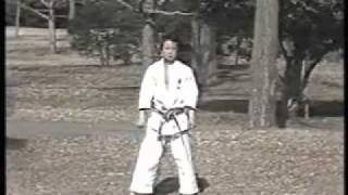 The Nakayama Legacy  Kanku Dai Bunkai Karate Shotokanmp4 [upl. by Dnalrag]