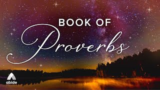 Bible Audio for Deep Rest Proverbs  Holy Bible Audio [upl. by Westmoreland483]