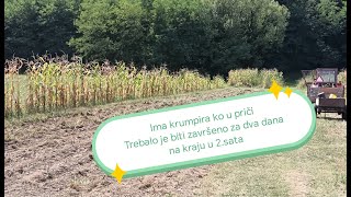 Vađenje krumpira ima krumpira ko blata [upl. by Analiese]