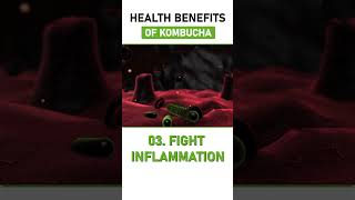 The Truth About The Health Benefits Of Kombucha healthtips kombucha [upl. by Howund]