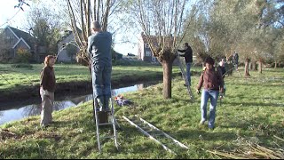 Bomen knotten tijdens Natuurwerkdag [upl. by Nannaihr]