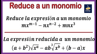 TERMINOS SEMEJANTES Reducción a un Monomio [upl. by Konstantine]