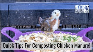 Quick Tips for Composting Chicken Manure [upl. by Sorensen38]