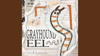 Grayhound Eel [upl. by Matilda163]