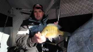 Early Ice Bluegills Lake Metigoshe [upl. by Onfroi]