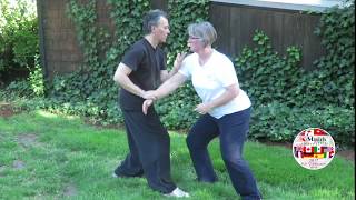 Yangstyle Taijiquan 8 Discframed Pushhands 4 5 amp 6 performed by Jim Madras amp Erica Anderson [upl. by Ailliw]