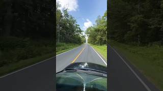 Shenandoah National Park nationalpark virginia usa youtuber youtubeshorts shorts reels 🇺🇸 [upl. by Hole]