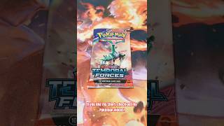 Temporal Forces Pokémon Booster Pack Opening  Day 140 [upl. by Granoff696]