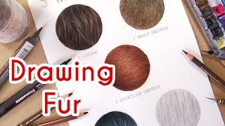 5 METHODS TO DRAW REALISTIC FUR Coloured Pencil Drawing Tutorial Episode 4 [upl. by Ennovi]