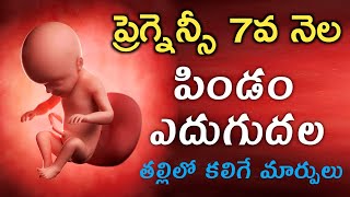 ప్రెగ్నెన్సీ 7వ నెల లక్షణాలు శిశువు ఎదుగుదల  Pregnancy 7th month  Telugu  baby growth movements [upl. by Jarlen]