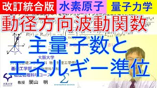 主量子数・エネルギー準位・動径方向波動関数の導出 〜新シリーズ・水素原子中電子のSchrödinger方程式の第8歩最終回〜 [upl. by Teews]