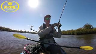 Maroochydore QLD Kayak Fishing⎟Bream Session [upl. by Blount845]