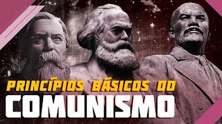 Comunismo princípios básicos e guia de leitura [upl. by Castro]