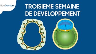 Troisième semaine de développement  Embryologie générale [upl. by Concettina974]