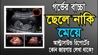 গর্ভের সন্তান ছেলে না মেয়ে আল্ট্রাসনোগ্রাম রিপোর্ট দেখে কিভাবে বুঝবেন  আল্ট্রাসনোগ্রাফি রিপোর্ট [upl. by Rutra]